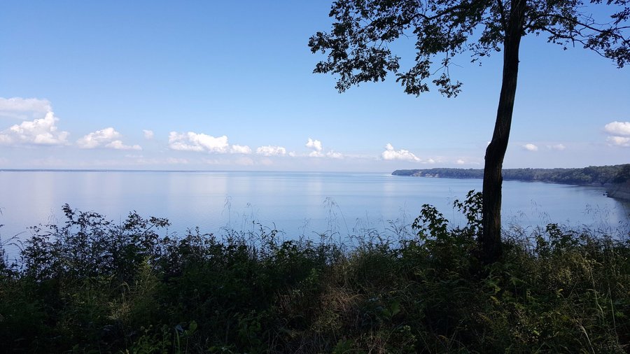 Westmoreland park