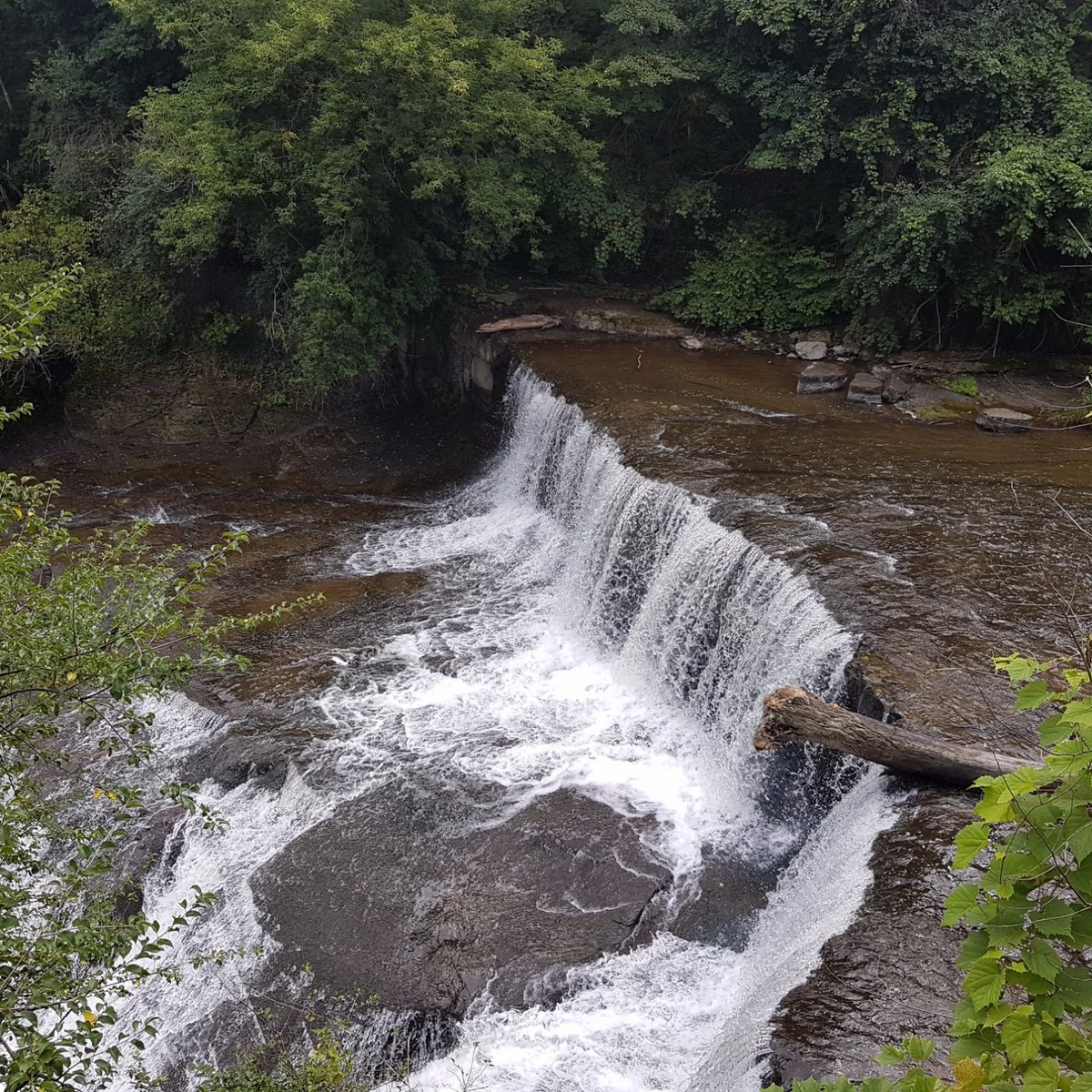 Keuka Lake Outlet Trail (Penn Yan) All You Need to Know BEFORE You Go