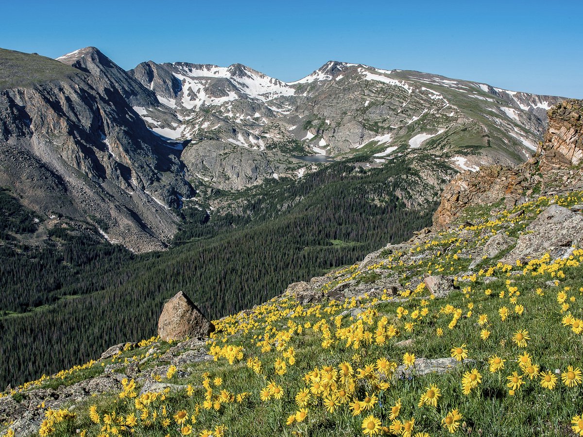 Yellow Wood Guiding (Estes Park) - All You Need to Know BEFORE You Go