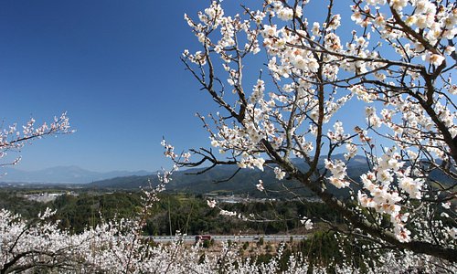 Nishiki Machi 21 Best Of Nishiki Machi Japan Tourism Tripadvisor Nishiki Machi 21 Best Of Nishiki Machi Japan Tourism Tripadvisor