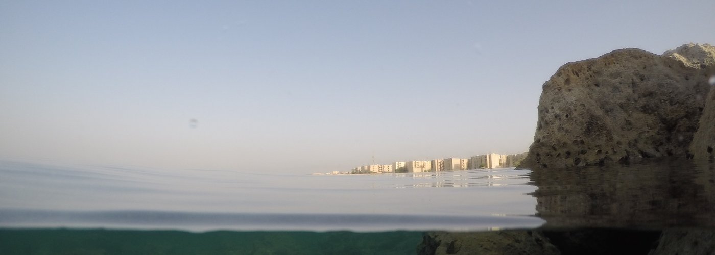 Харг