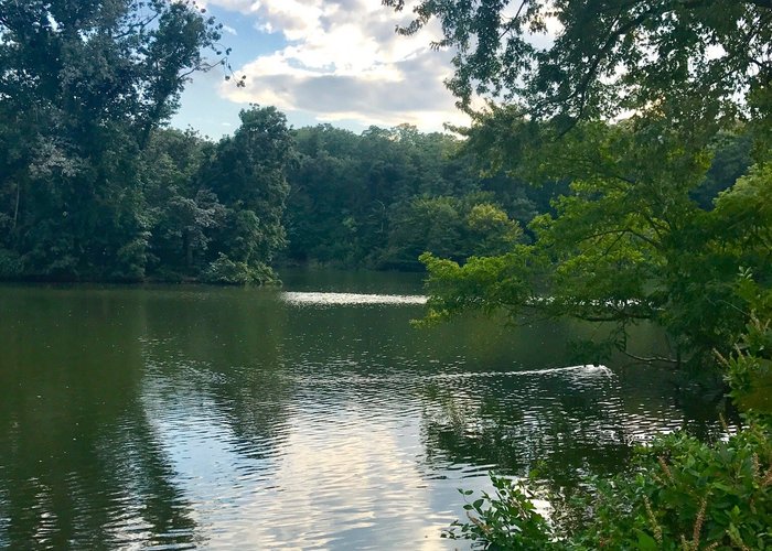 Avalon Park & Preserve