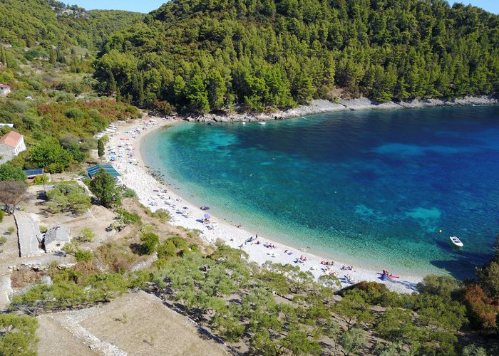 Dron view