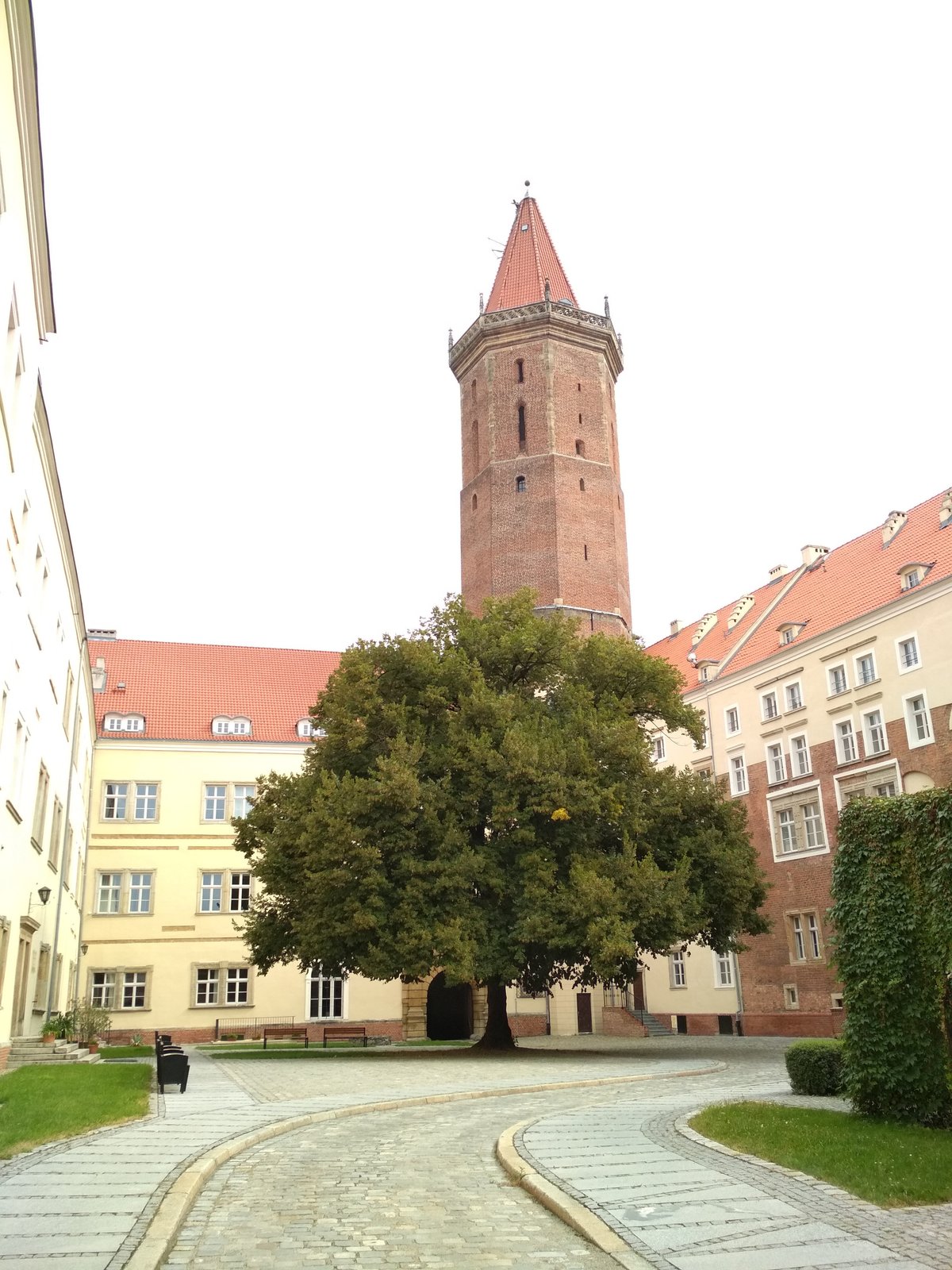 Piast Castle, Легница: лучшие советы перед посещением - Tripadvisor