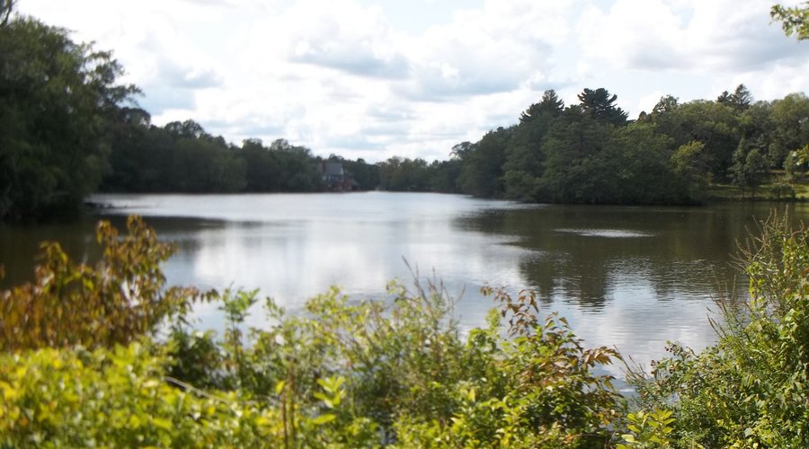View walking around lake