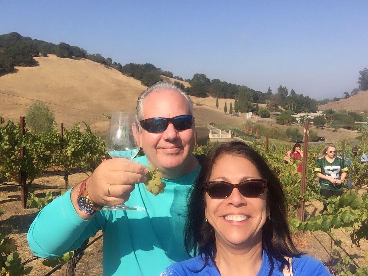 Napa or Sonoma Valley Wine Tour All You Need to Know BEFORE You Go (2024)