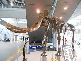 22年 スリーエム仙台市科学館 行く前に 見どころをチェック トリップアドバイザー 22年 スリーエム仙台市科学館 行く前に 見どころをチェック トリップアドバイザー