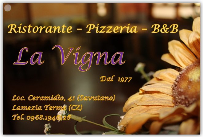 B&B LA VIGNA : Prezzi E Recensioni (2024)