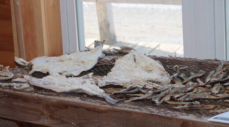 dried fish