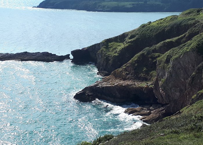 Berry Head National Nature Reserve