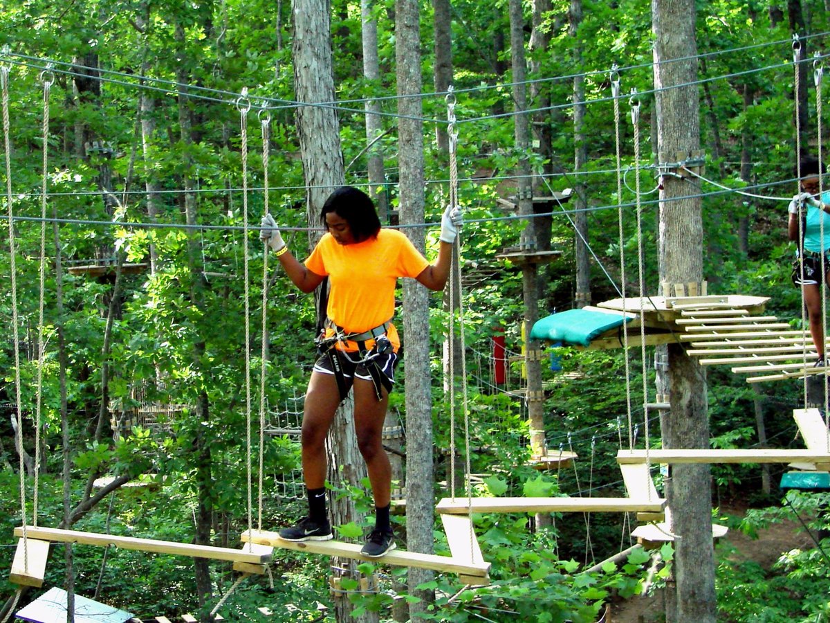 Treetops reopens at Paradise Park