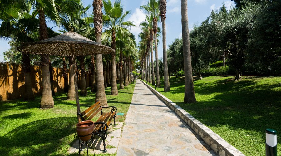 Garden at the Miramare Queen Hotel