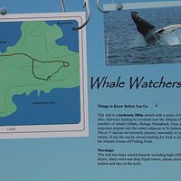 Signage