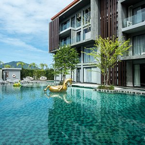 The Pool at the Maya Phuket Hotel
