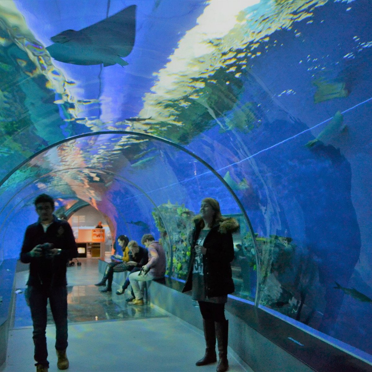 National Aquarium Blå (Copenhagen) - All You Need to Know BEFORE You Go