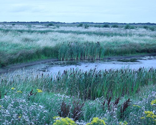 THE BEST Liverpool Nature & Wildlife Areas (with Photos) - Tripadvisor