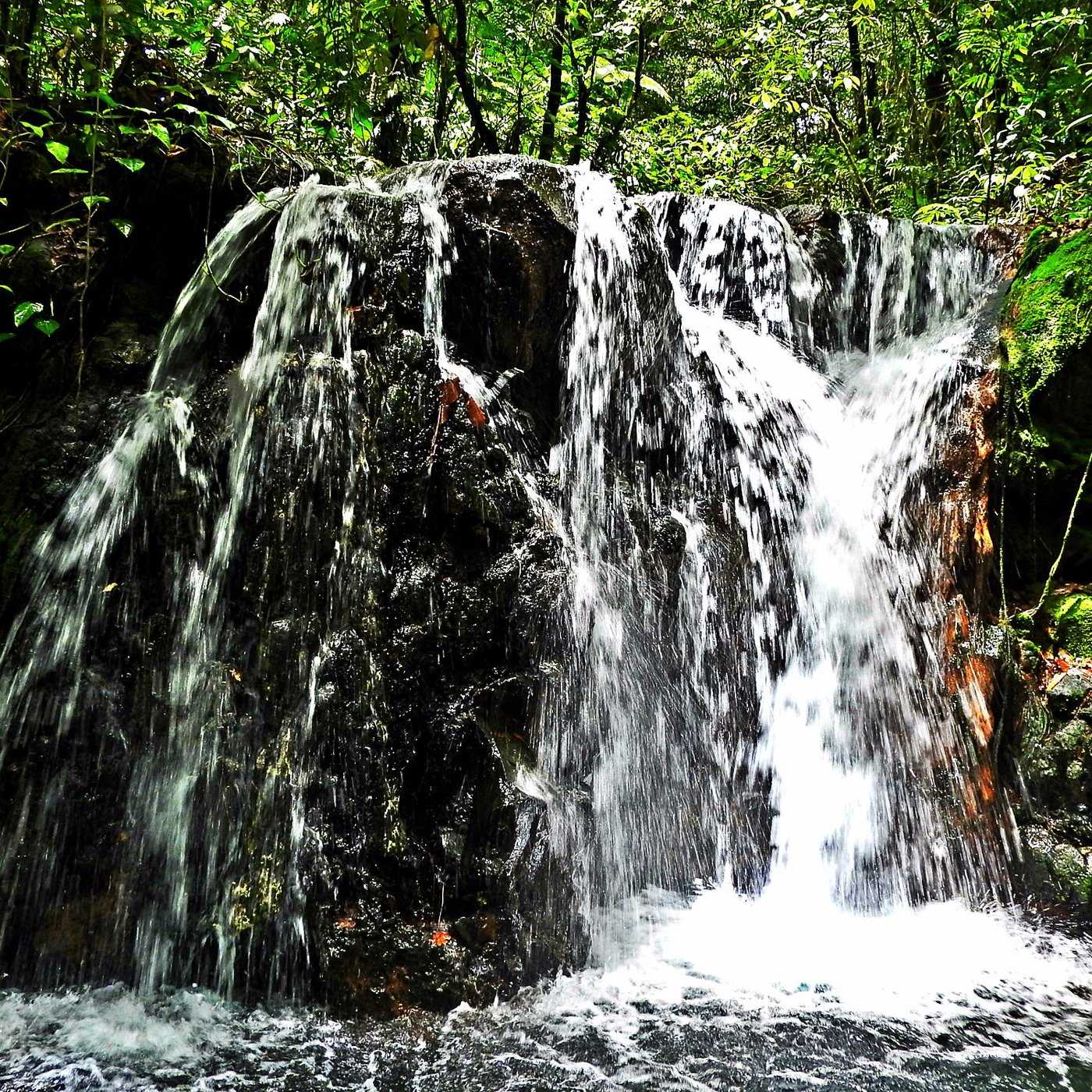 Rincon de La Vieja, Costa Rica: All You Must Know Before You Go (2024) -  Tripadvisor