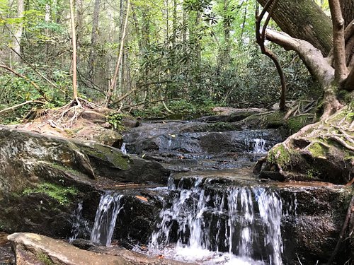 THE 15 BEST Things to Do in Blue Ridge - 2024 (with Photos) - Tripadvisor