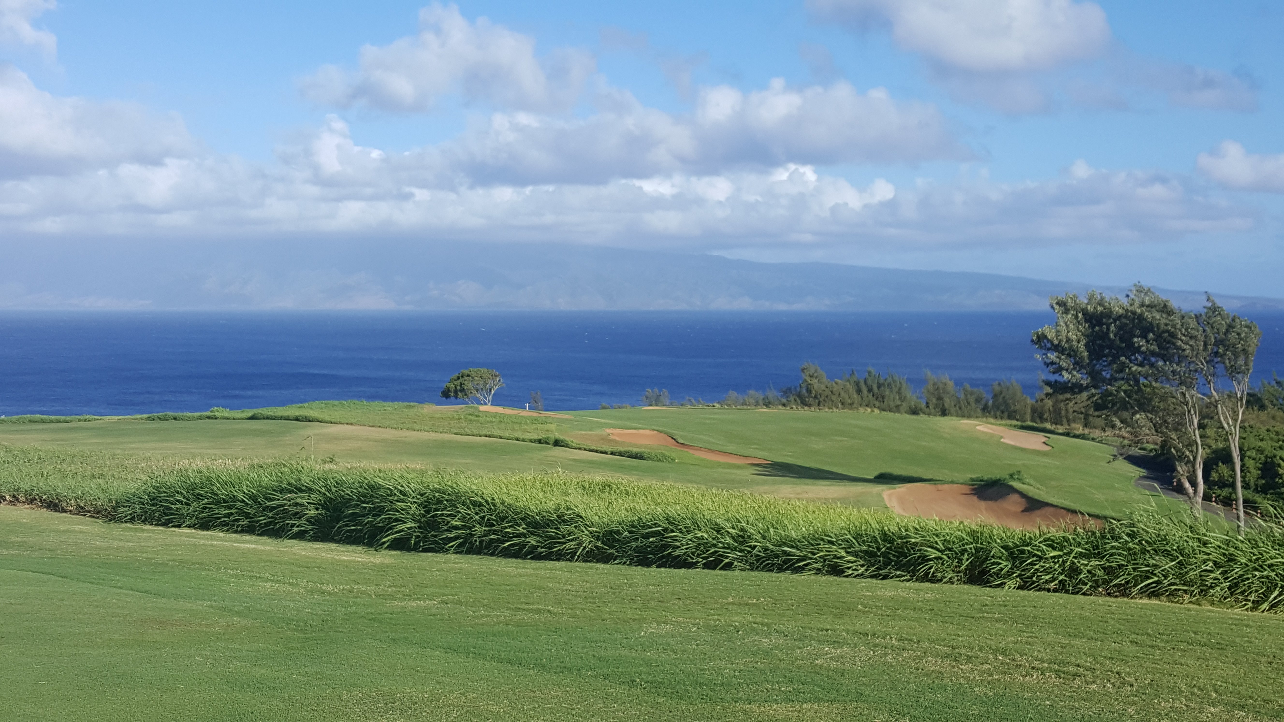 kapalua-golf.jpg?w=1200&h=1200&s=1