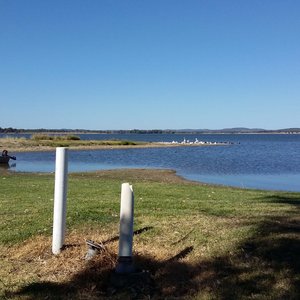 A view from our campsite to the water birds resting on the lakeside. 