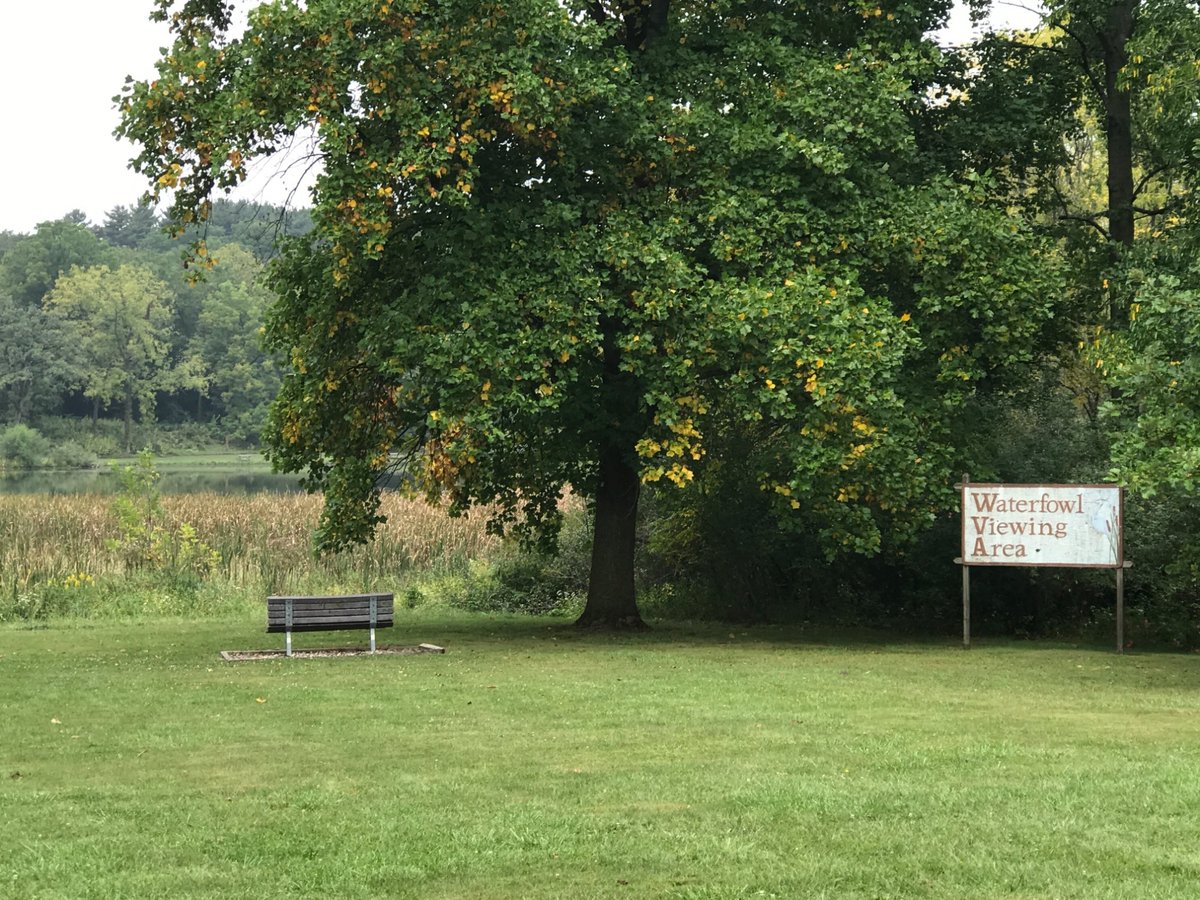 Escape to Nature's Embrace: A Journey to Johnson-Sauk Trail State Recreation Area