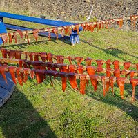 Drying cold-smoked salmon