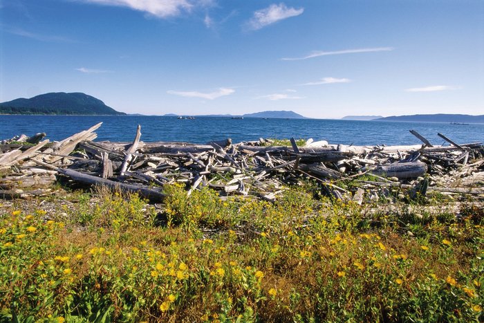 How to Get to Lummi Island WA – A Detailed Guide