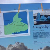 A cute photo of the Iceberg Alley Trail telling visitors about the place