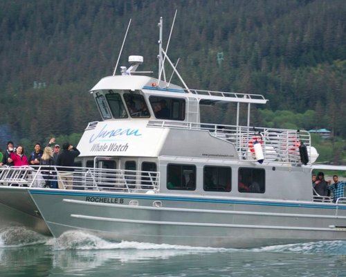 THE 10 BEST Juneau Dolphin & Whale Watching Tours (2023)