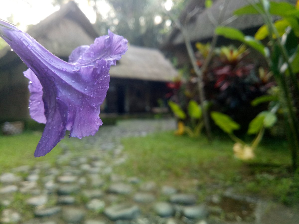 Sangeh Traditional Village - Day Tours