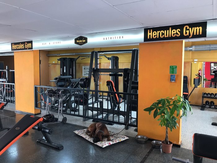 Imagen 1 de Hercules Gym