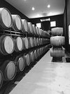 (with BEFORE Tiago Go You Photos) You Winery - Know Cabaco to Need All