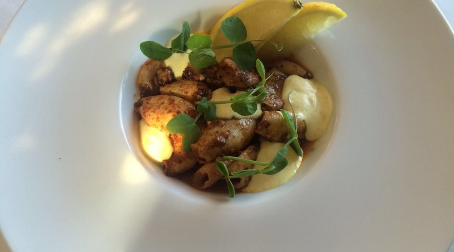Calamari starter.