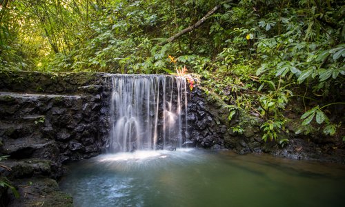 Alassari stream