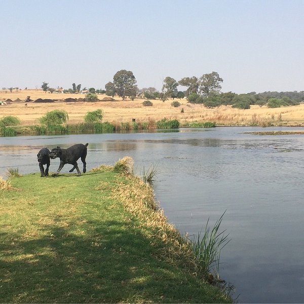 The Wilds Nature Reserve (Johannesburg) 2023 Alles wat u moet weten