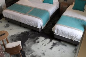 客室 & スイート