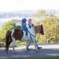 Turer i skogen hver helg