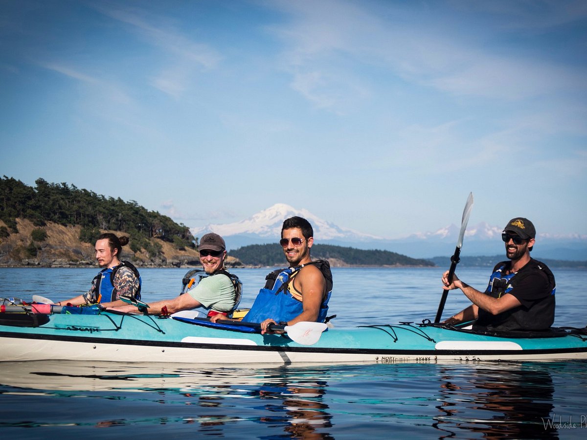 shearwater kayak tours reviews