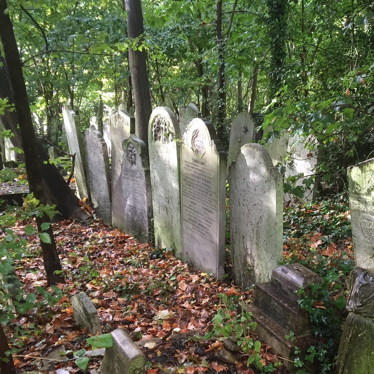 Зона кладбища. Tower Hamlets Cemetery Park. Прозрачный Дормина кладбище в Лондоне.