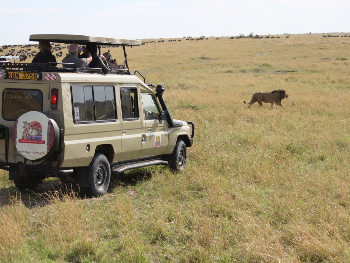 Twiga Tours (Nairobi) - All You Need to Know BEFORE You Go