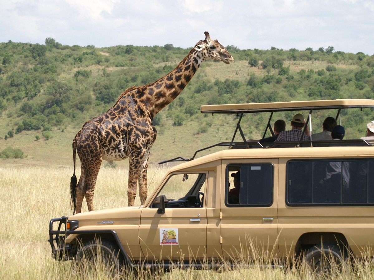 TWIGA TOURS (Nairobi): Ce qu'il faut savoir pour votre visite (avec ...