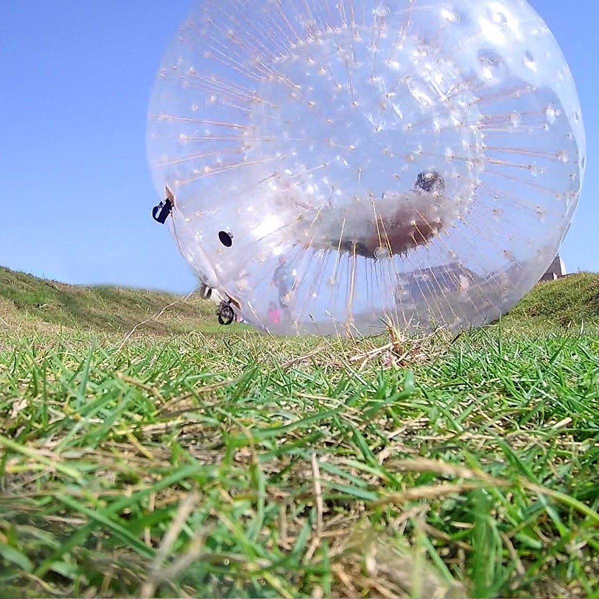 Zorbing перевод. Зорбинг. Зорбинг парк на Пхукете. Зорб на траве. Зорбинг Дубай.