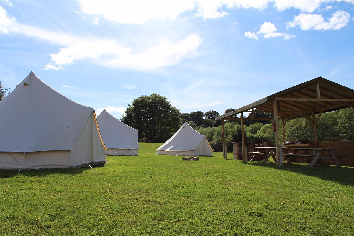 Fishing Pool - Picture of Hopleys Family Camping, Bewdley - Tripadvisor