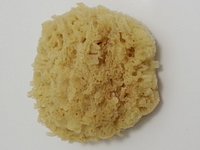 FACTORY OF NATURAL SPONGES: Tutto quello che c'è da sapere (AGGIORNATO  2024) - Tripadvisor