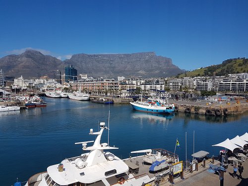 capacity City flower Excrete THE BEST Cape Town Central Marinas (with Photos) - Tripadvisor