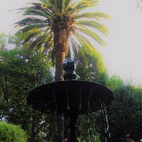 Fuente con palmera