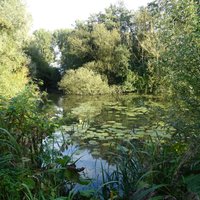 Gaasperplas Park (Amsterdam) - All You Need to Know BEFORE You Go