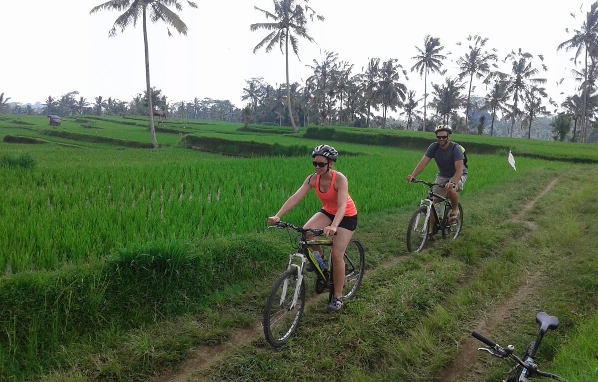 Bali Great Bike Tour - All You Need to Know BEFORE You Go (2024)