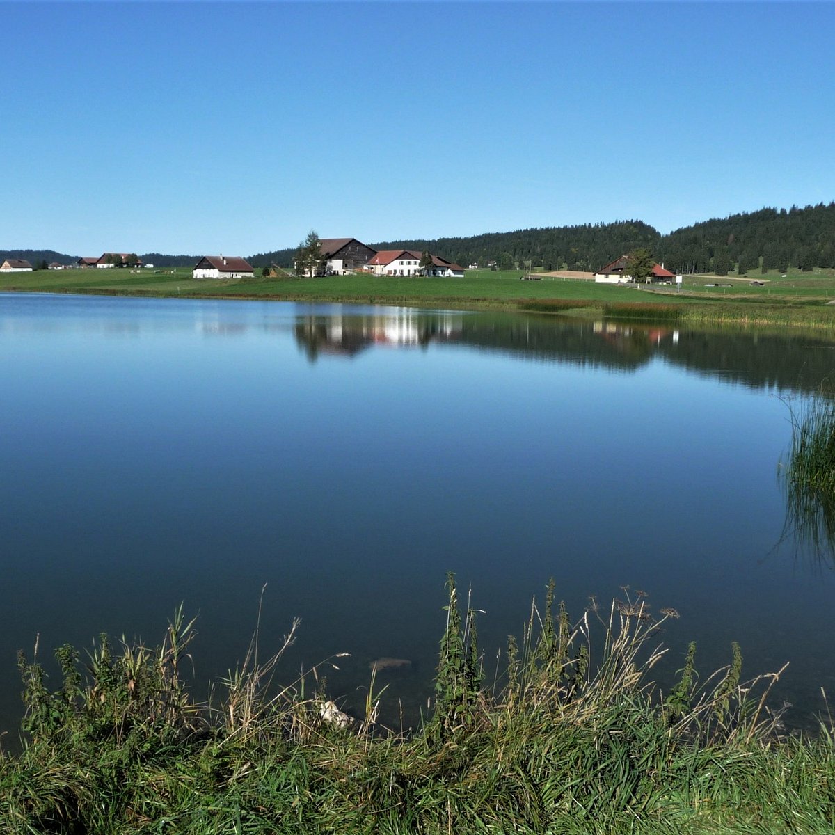 Lac des. Спасский пруд Булатниково. Булатниково пруд. Спасское водохранилище Видное. Булатниковский пруд Видное.