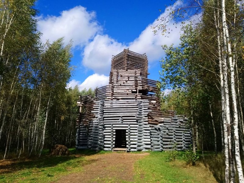 Поселок барсуки фото